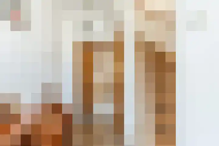 Dr. Cramerstraat 36 Bladel thumbnail 4