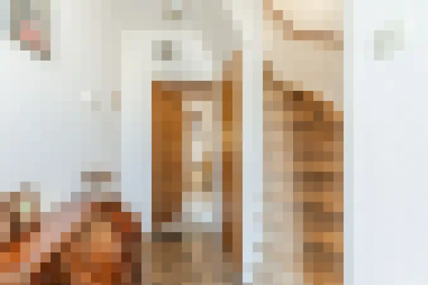 Dr. Cramerstraat 36 Bladel thumbnail 4