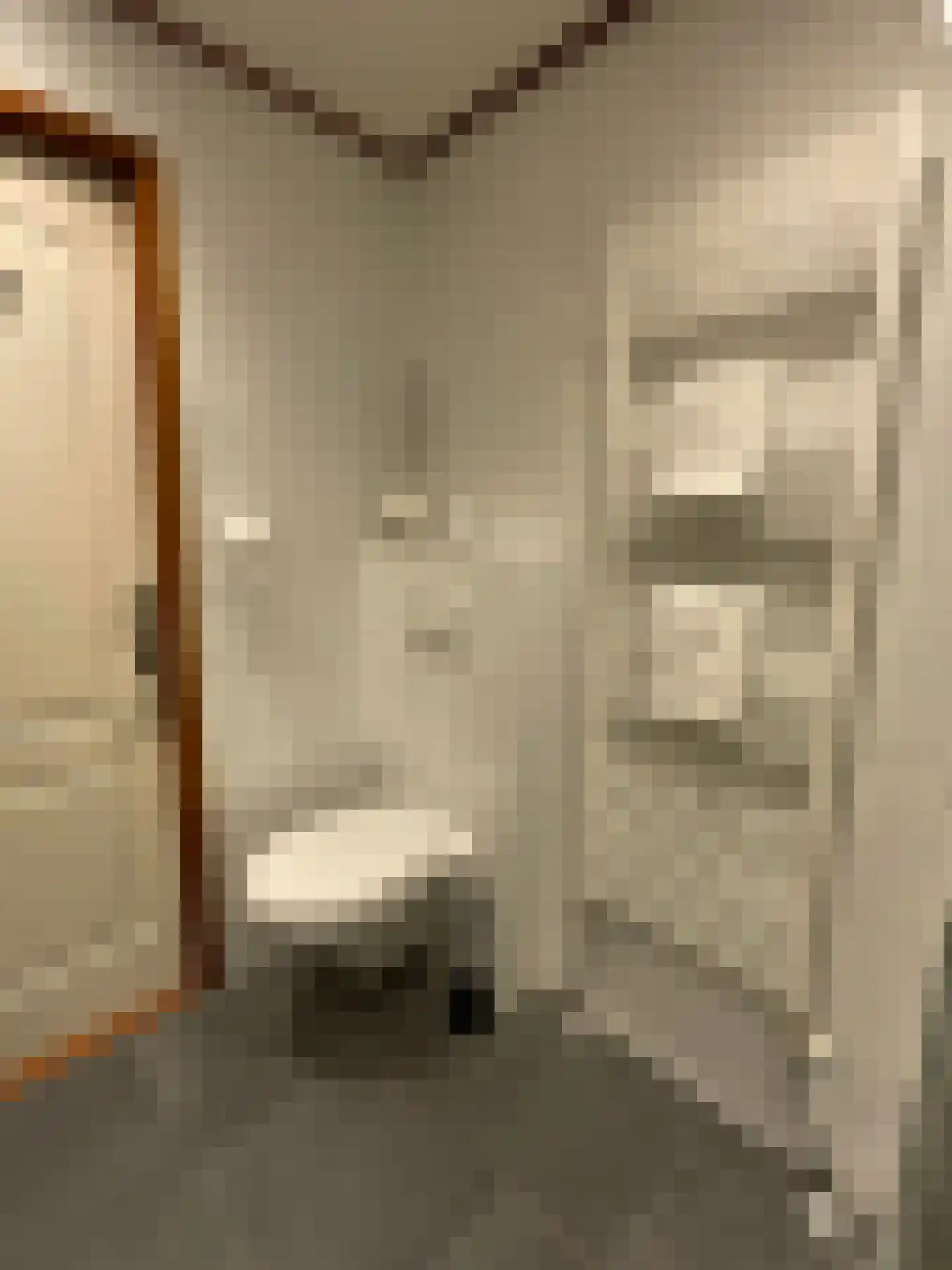 Dr. Cramerstraat 36 Bladel thumbnail 42
