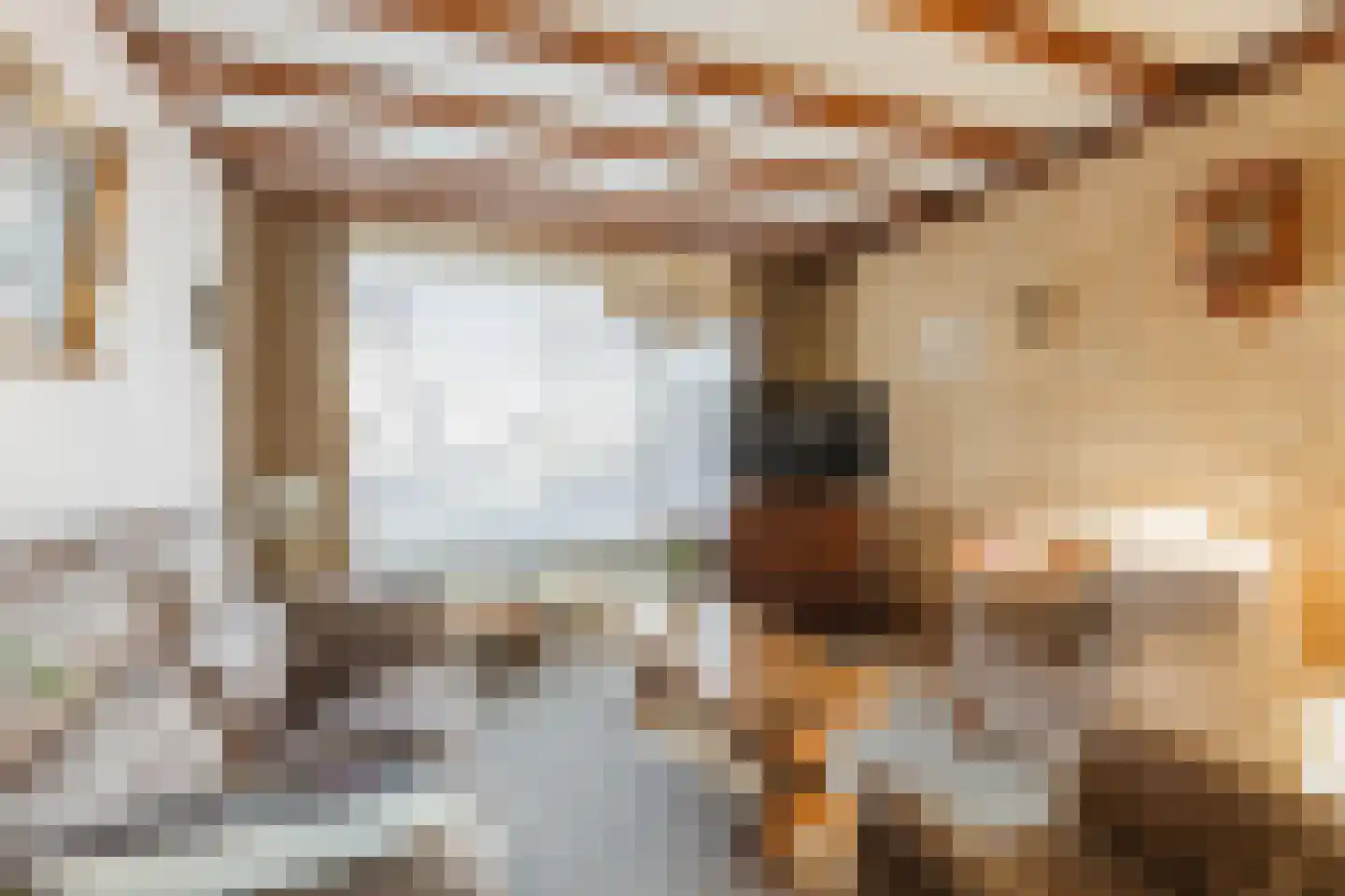 Dr. Cramerstraat 36 Bladel thumbnail 7