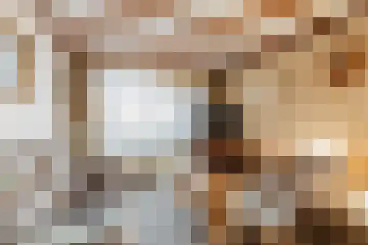 Dr. Cramerstraat 36 Bladel thumbnail 7