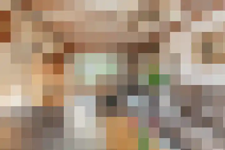 Dr. Cramerstraat 36 Bladel thumbnail 8