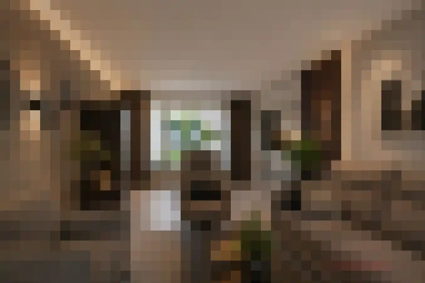 Dr. Cramerstraat 36 Bladel thumbnail 9