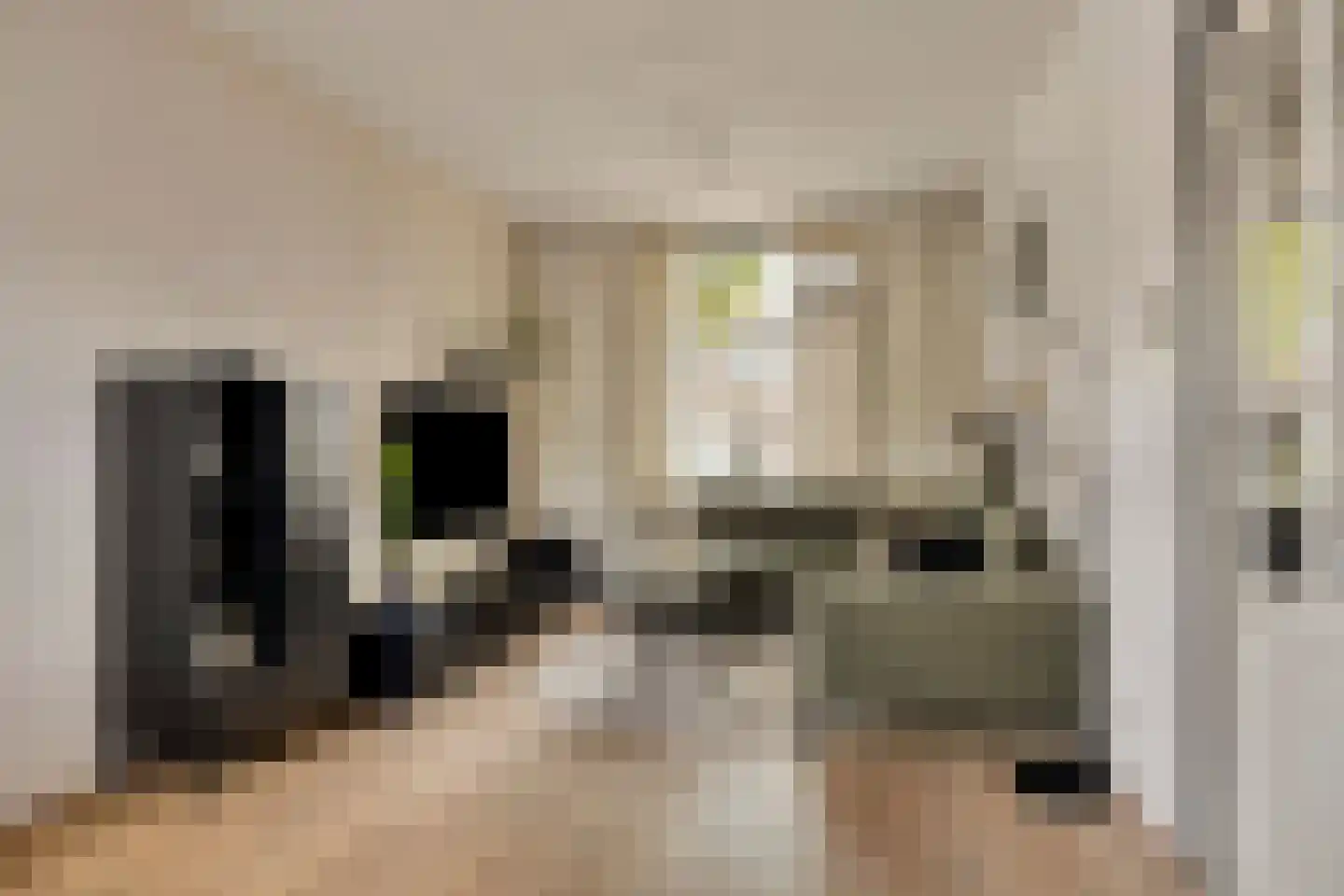 Dr. Cuijpershof 15 Tilburg thumbnail 15