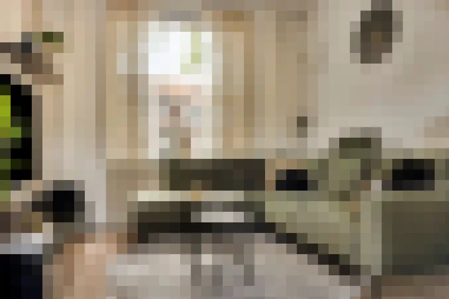 Dr. Cuijpershof 15 Tilburg thumbnail 16