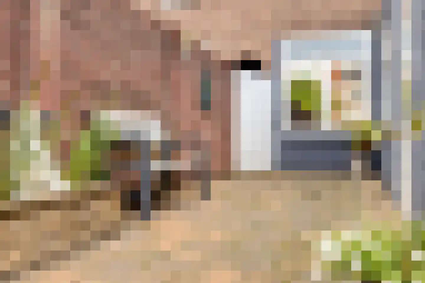 Dr. Cuijpershof 15 Tilburg thumbnail 36