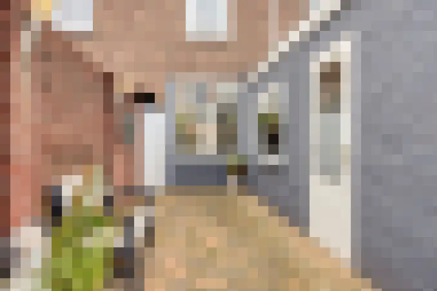 Dr. Cuijpershof 15 Tilburg thumbnail 37