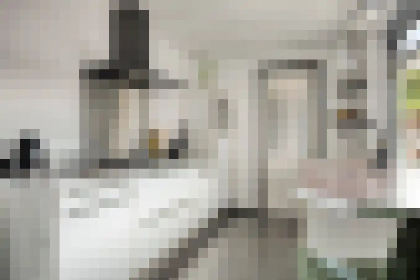 Dr. Cuijpershof 15 Tilburg thumbnail 4
