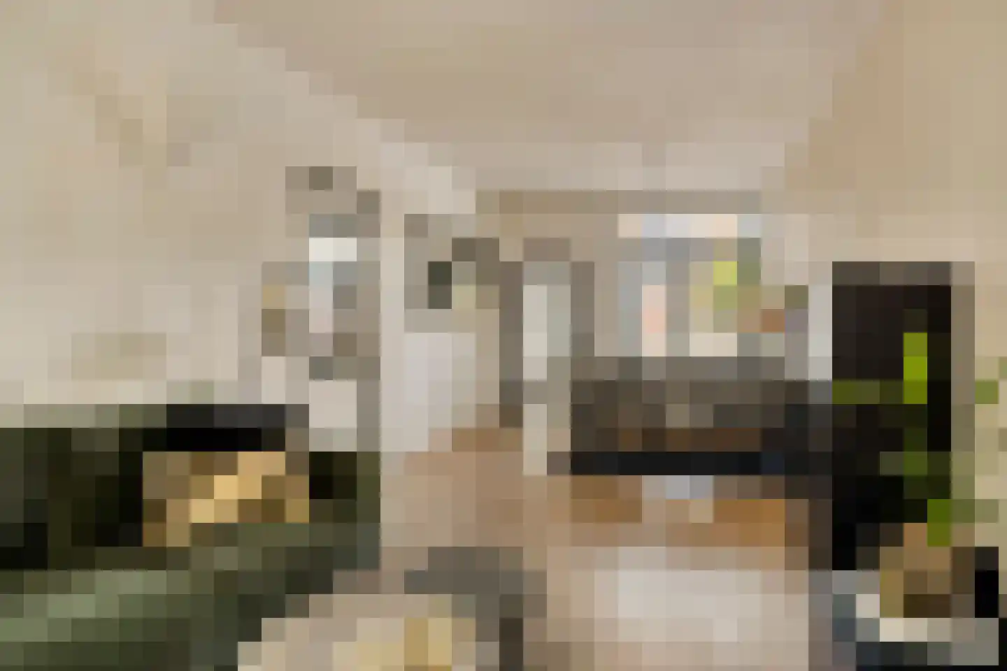 Dr. Cuijpershof 15 Tilburg thumbnail 5