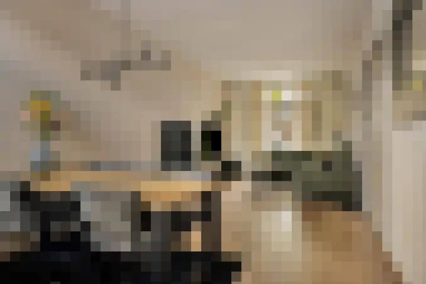 Dr. Cuijpershof 15 Tilburg thumbnail 6