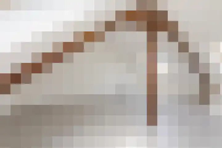Dr. Cuijpershof 48 Tilburg thumbnail 30