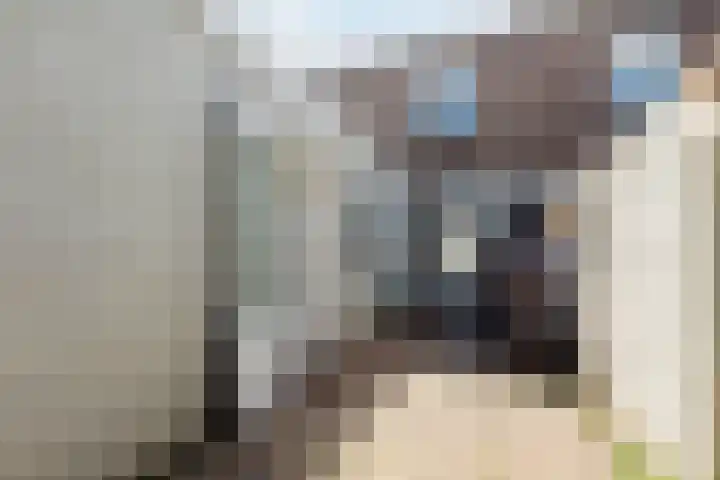 Dr. Cuijpershof 48 Tilburg thumbnail 32