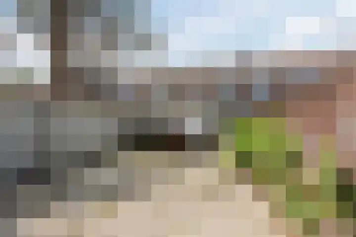 Dr. Cuijpershof 48 Tilburg thumbnail 35