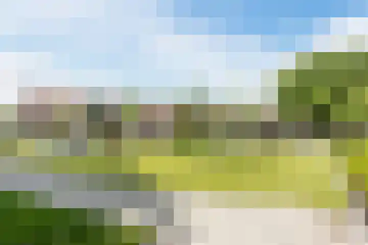 Dr. Cuijpershof 48 Tilburg thumbnail 36