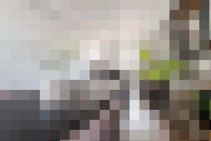 Dr. Cuijpershof 48 Tilburg thumbnail 4
