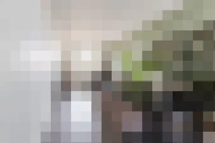 Dr. Cuijpershof 48 Tilburg thumbnail 5