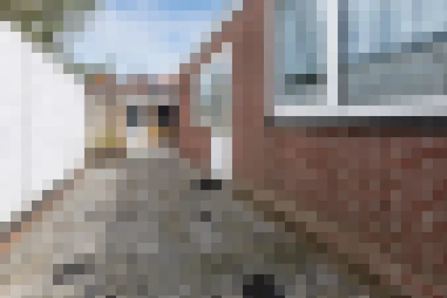 Dr. Cuijpershof 50 Tilburg thumbnail 22