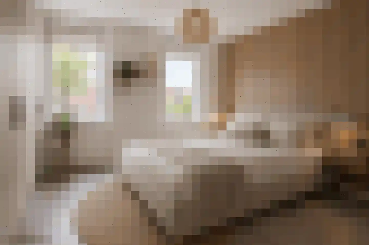 Dr. Cuijpershof 50 Tilburg thumbnail 9