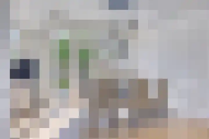 Dr Cuyperslaan 116 Eindhoven thumbnail 16