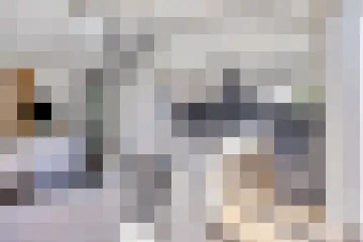 Dr Cuyperslaan 116 Eindhoven thumbnail 17