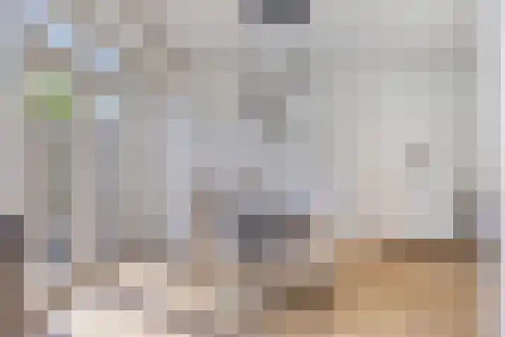 Dr Cuyperslaan 116 Eindhoven thumbnail 18