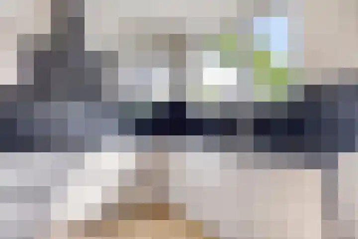 Dr Cuyperslaan 116 Eindhoven thumbnail 20
