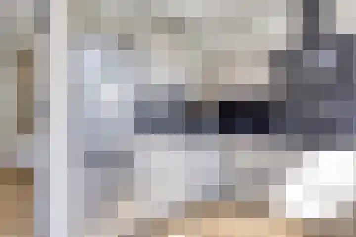 Dr Cuyperslaan 116 Eindhoven thumbnail 21