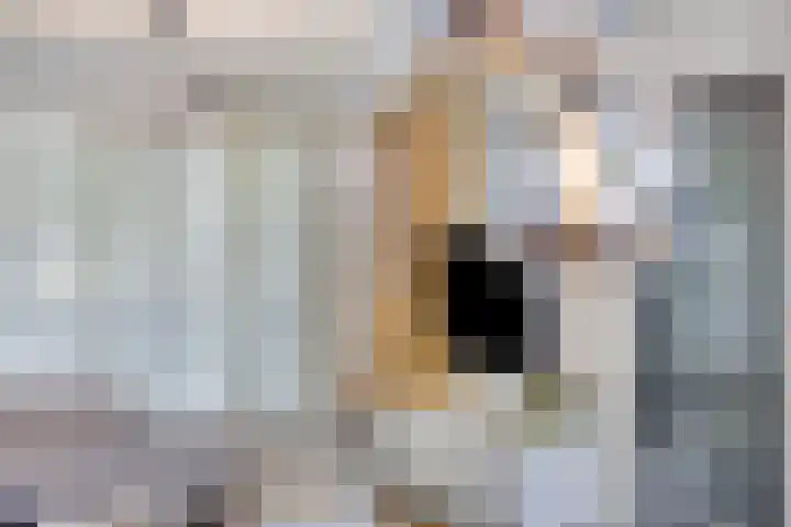 Dr Cuyperslaan 116 Eindhoven thumbnail 25