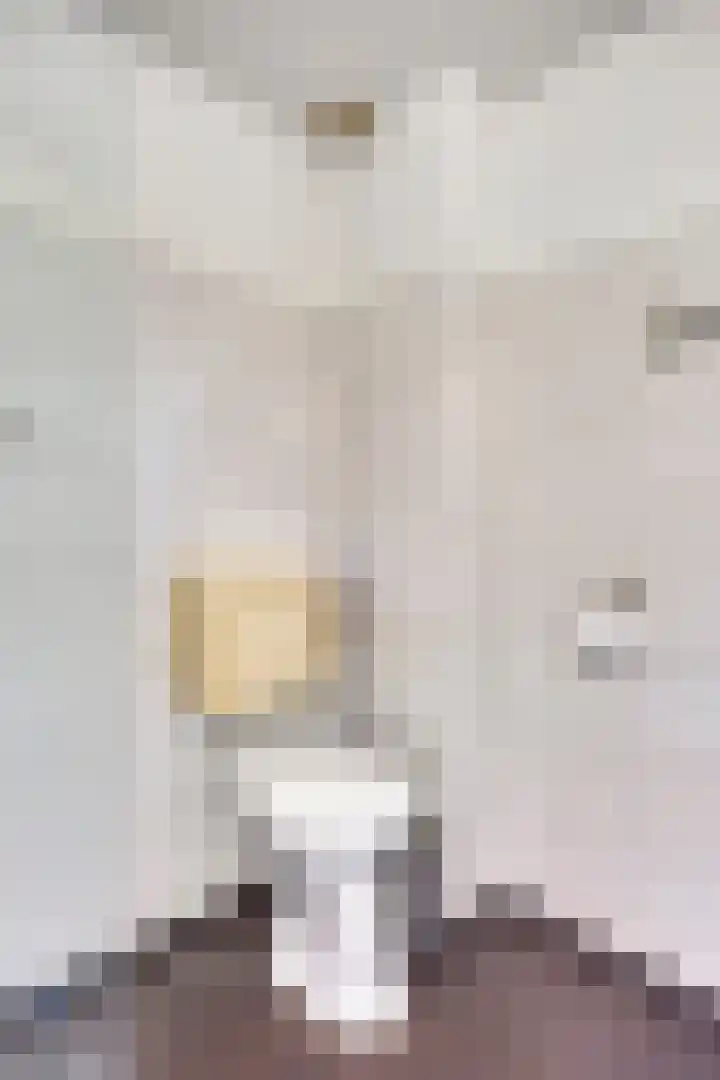 Dr Cuyperslaan 116 Eindhoven thumbnail 32