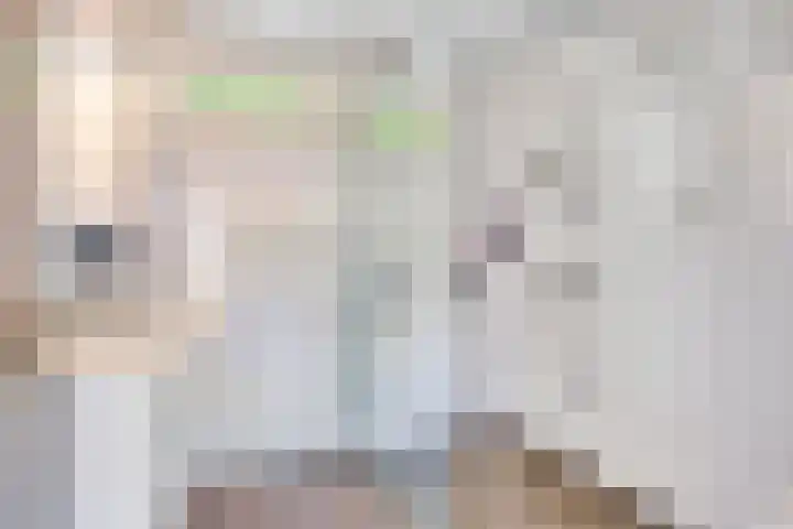 Dr Cuyperslaan 116 Eindhoven thumbnail 34