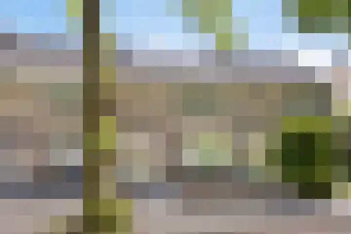 Dr Cuyperslaan 116 Eindhoven thumbnail 8