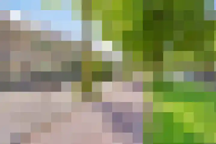 Dr Cuyperslaan 116 Eindhoven thumbnail 9