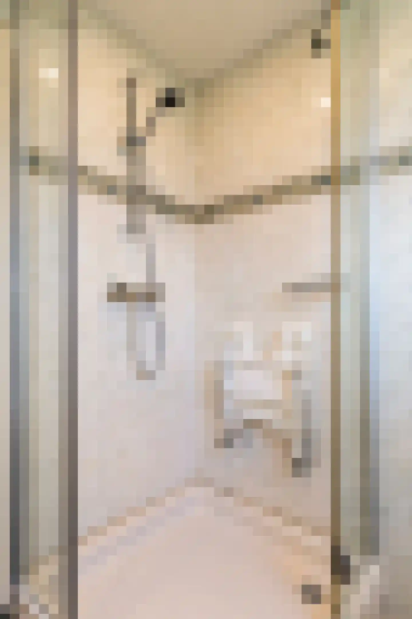 Dr Cuyperslaan 136 Eindhoven thumbnail 19