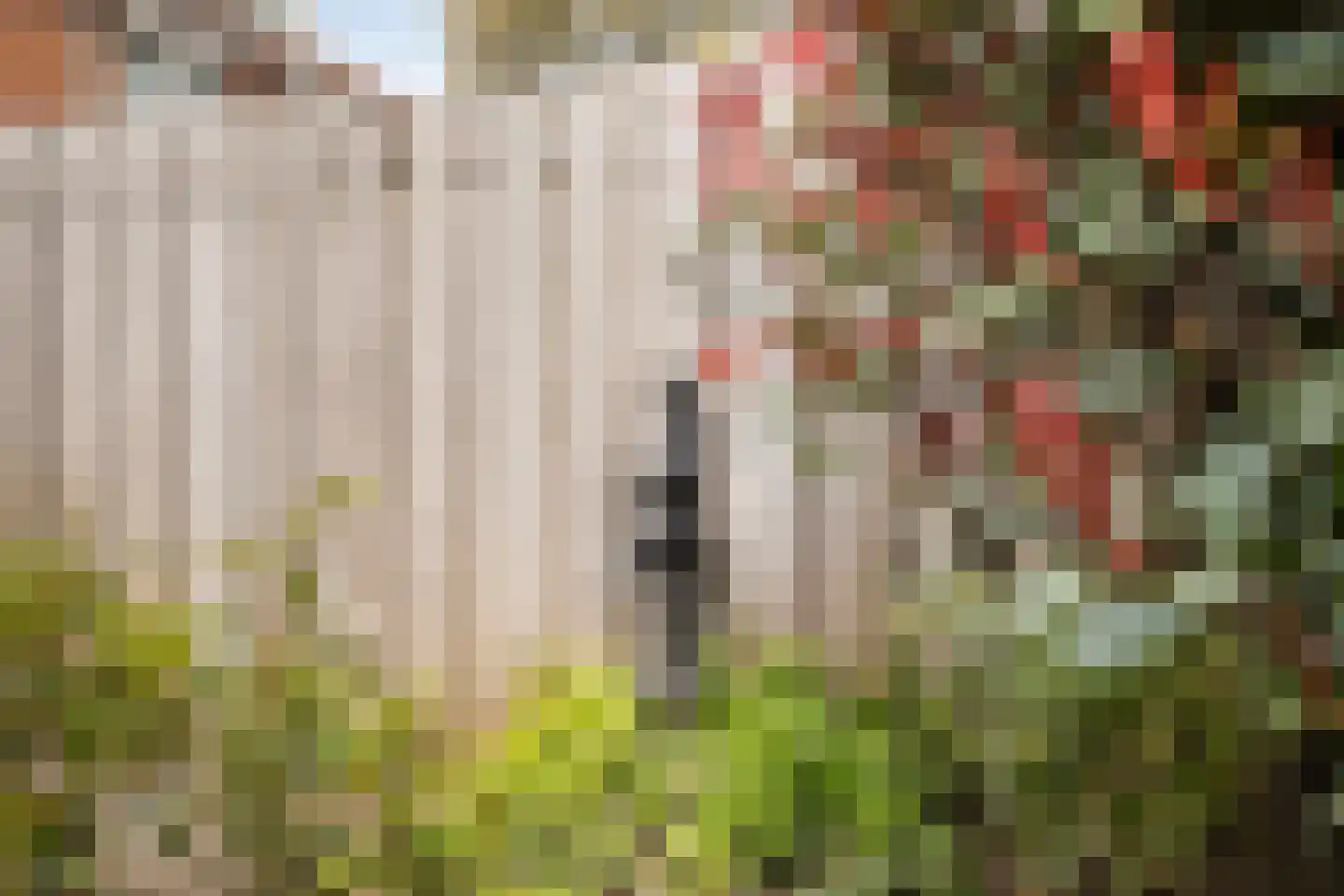 Dr Cuyperslaan 136 Eindhoven thumbnail 35