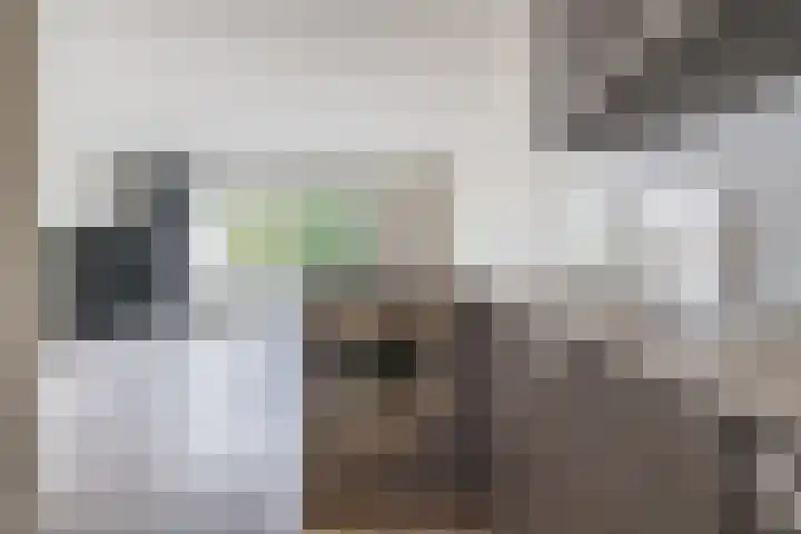 Dr Cuyperslaan 31 Eindhoven thumbnail 14