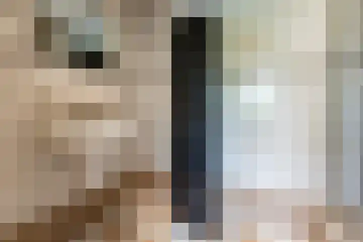 Dr Cuyperslaan 31 Eindhoven thumbnail 4