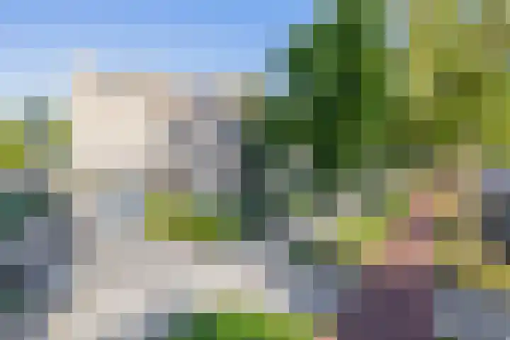 Dr Cuyperslaan 39 Eindhoven thumbnail 10