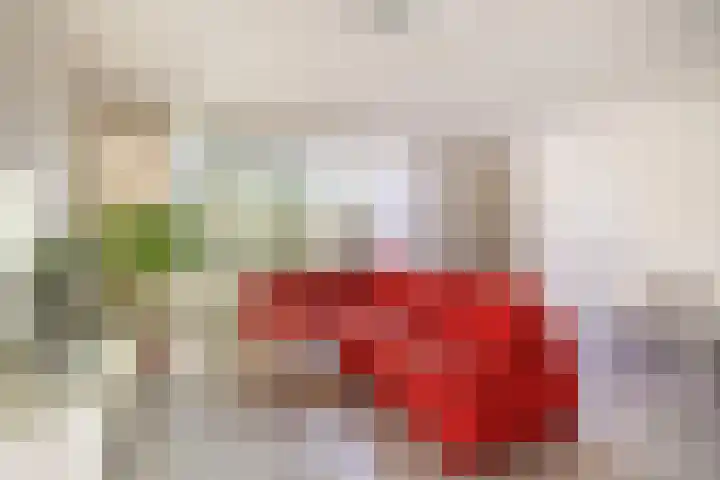 Dr Cuyperslaan 39 Eindhoven thumbnail 20