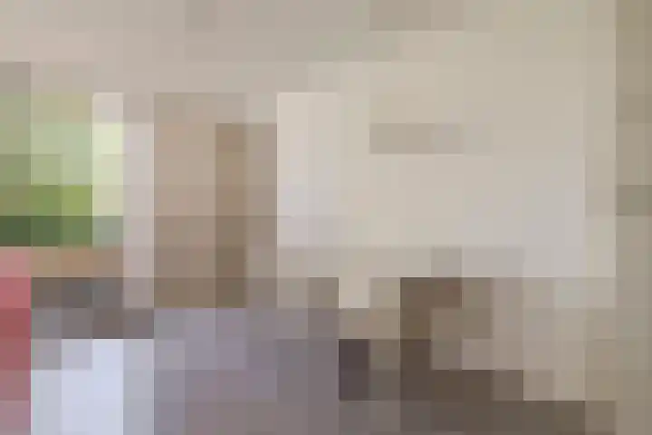 Dr Cuyperslaan 39 Eindhoven thumbnail 22