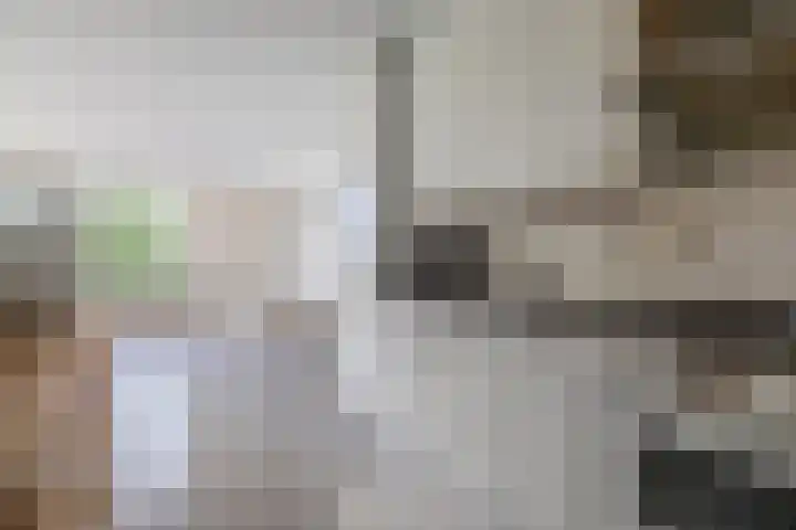 Dr Cuyperslaan 39 Eindhoven thumbnail 23