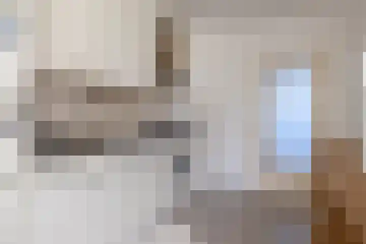 Dr Cuyperslaan 39 Eindhoven thumbnail 24