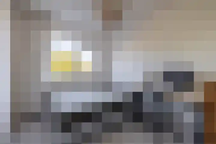 Dr Cuyperslaan 39 Eindhoven thumbnail 29