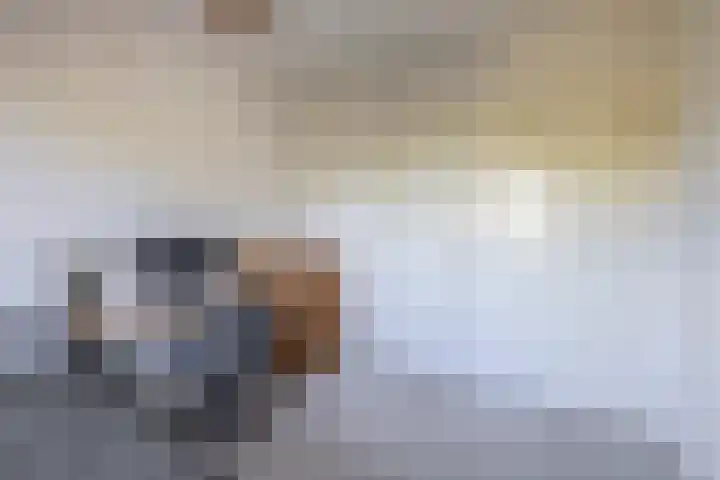 Dr Cuyperslaan 39 Eindhoven thumbnail 30