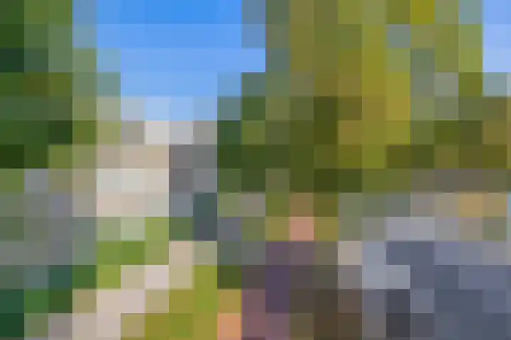 Dr Cuyperslaan 39 Eindhoven thumbnail 6