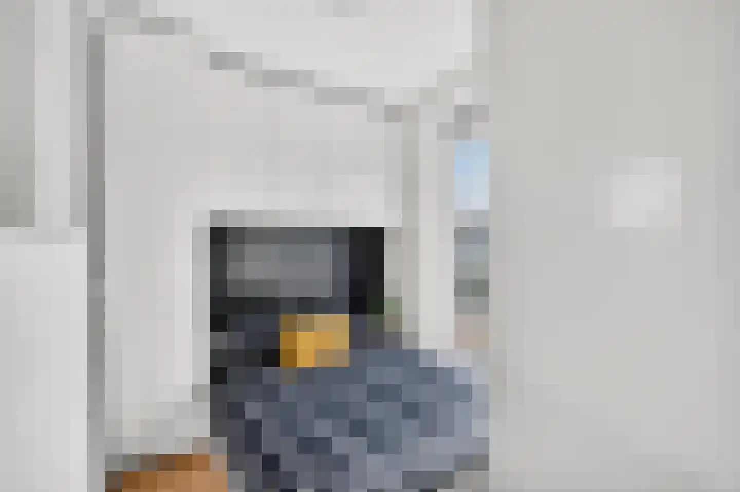 Dr Cuyperslaan 40 04 Eindhoven thumbnail 20