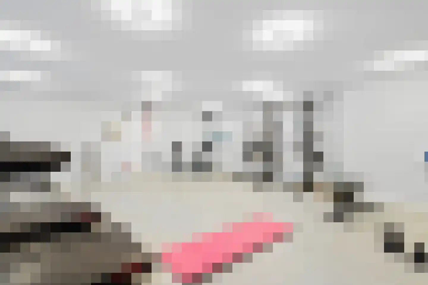 Dr Cuyperslaan 40 04 Eindhoven thumbnail 34