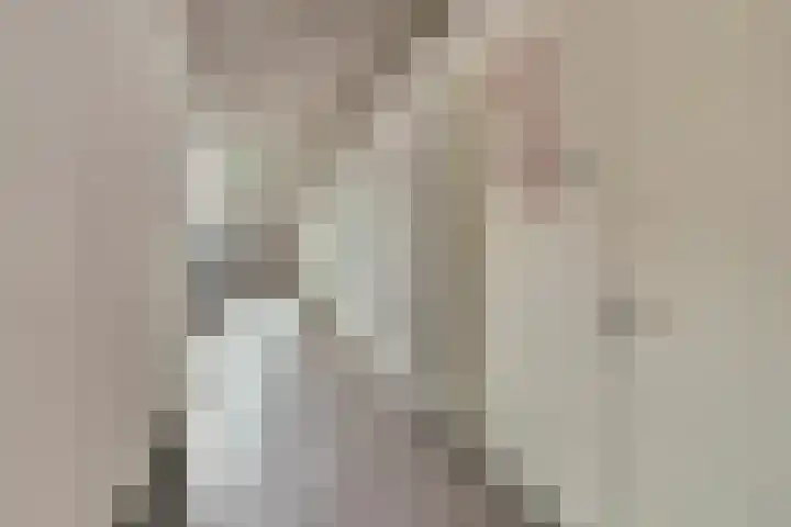 Dr Cuyperslaan 40 22 Eindhoven thumbnail 10