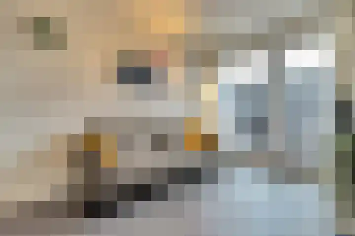 Dr Cuyperslaan 40 22 Eindhoven thumbnail 13