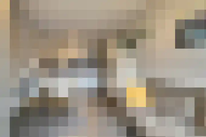 Dr Cuyperslaan 40 22 Eindhoven thumbnail 14