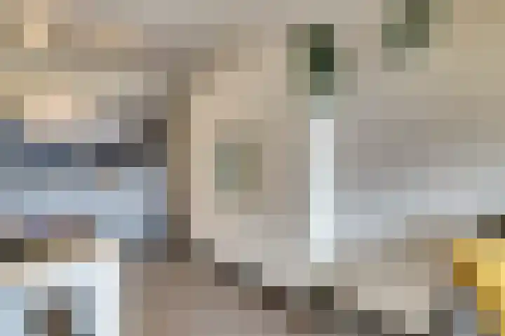 Dr Cuyperslaan 40 22 Eindhoven thumbnail 16